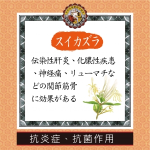 漢方薬の知識-KING TO NIN JIOM MEDICINE MAF.(TAIWAN) CO., LTD.